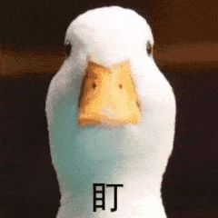 DƬ